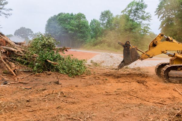 Ground Clearing in Snellville
