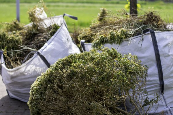 Cost of Bushes Clearing in Snellville
