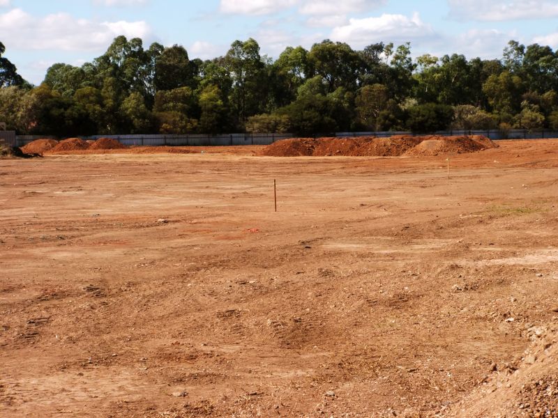 Environmental Clearing Specialists